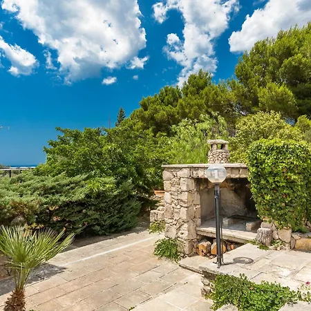 Passion Wolf By Salento Prime Marina Di Pescoluse